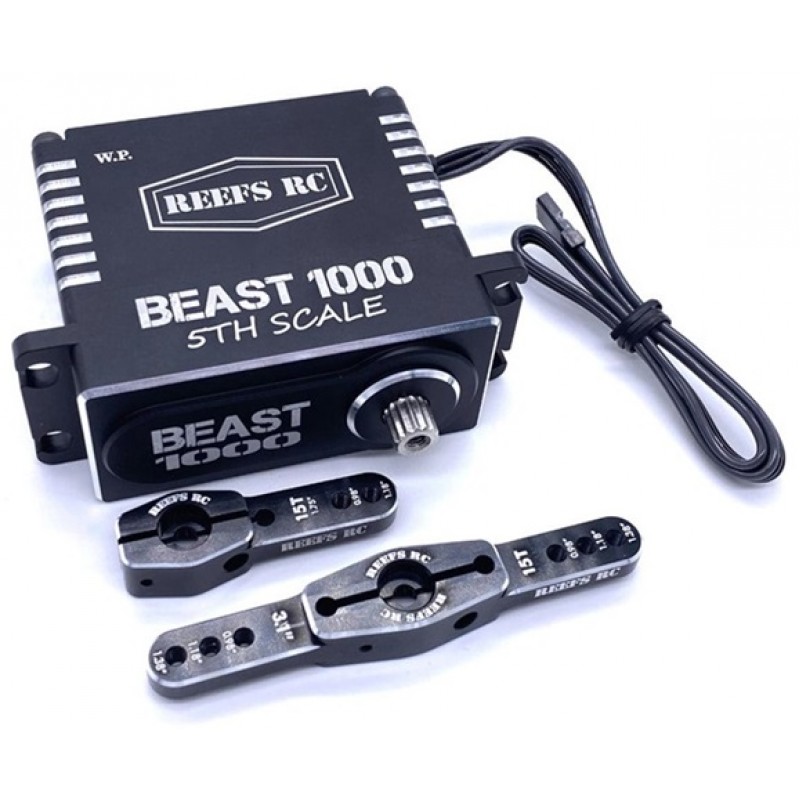 Reef's RC Beast 1000 1/5th Scale HT High Speed Ser...