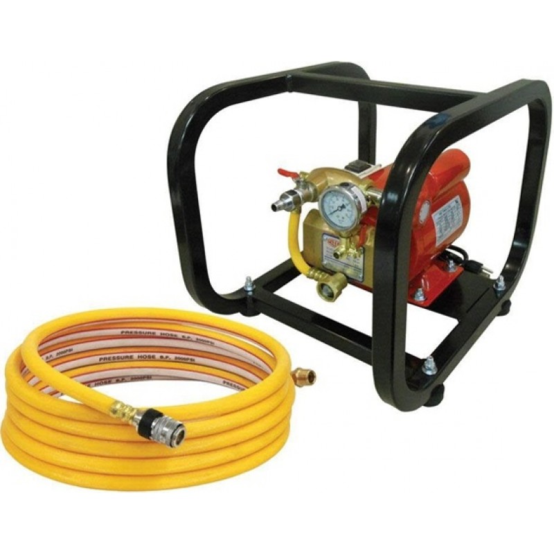 Reed Mfg Hydrostatic Test Pump, Electric with Cage...